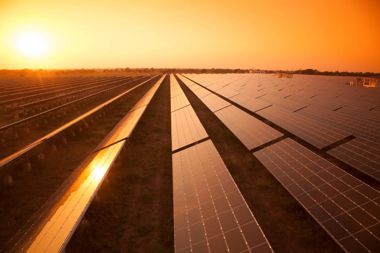 All-in-One Solution for your Solar panel businesodooerp